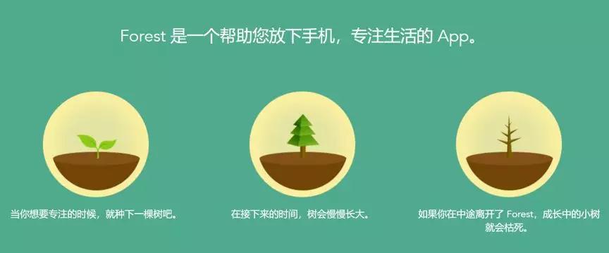 forest